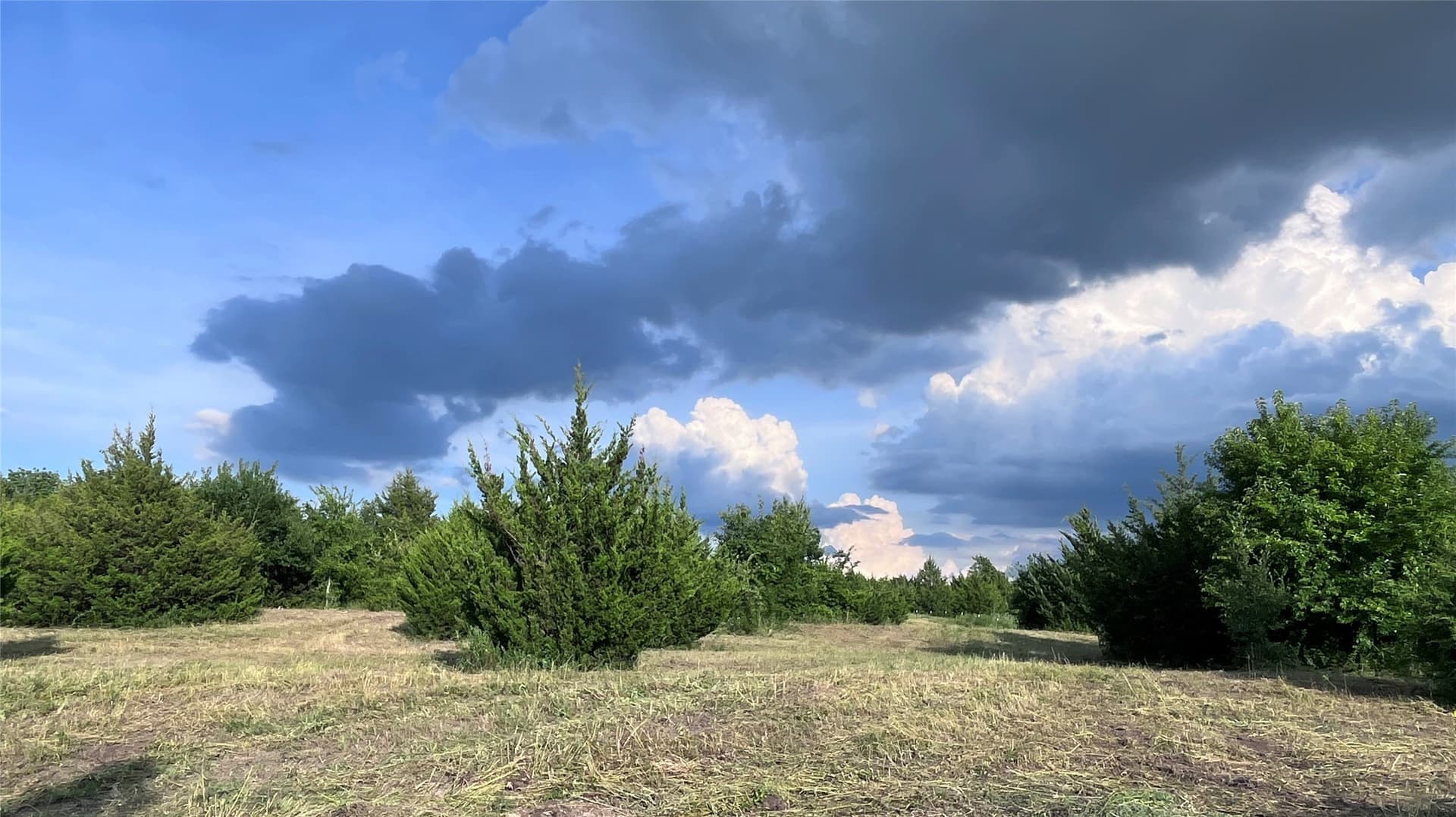 16.06 acres in Grayson County - photo 2