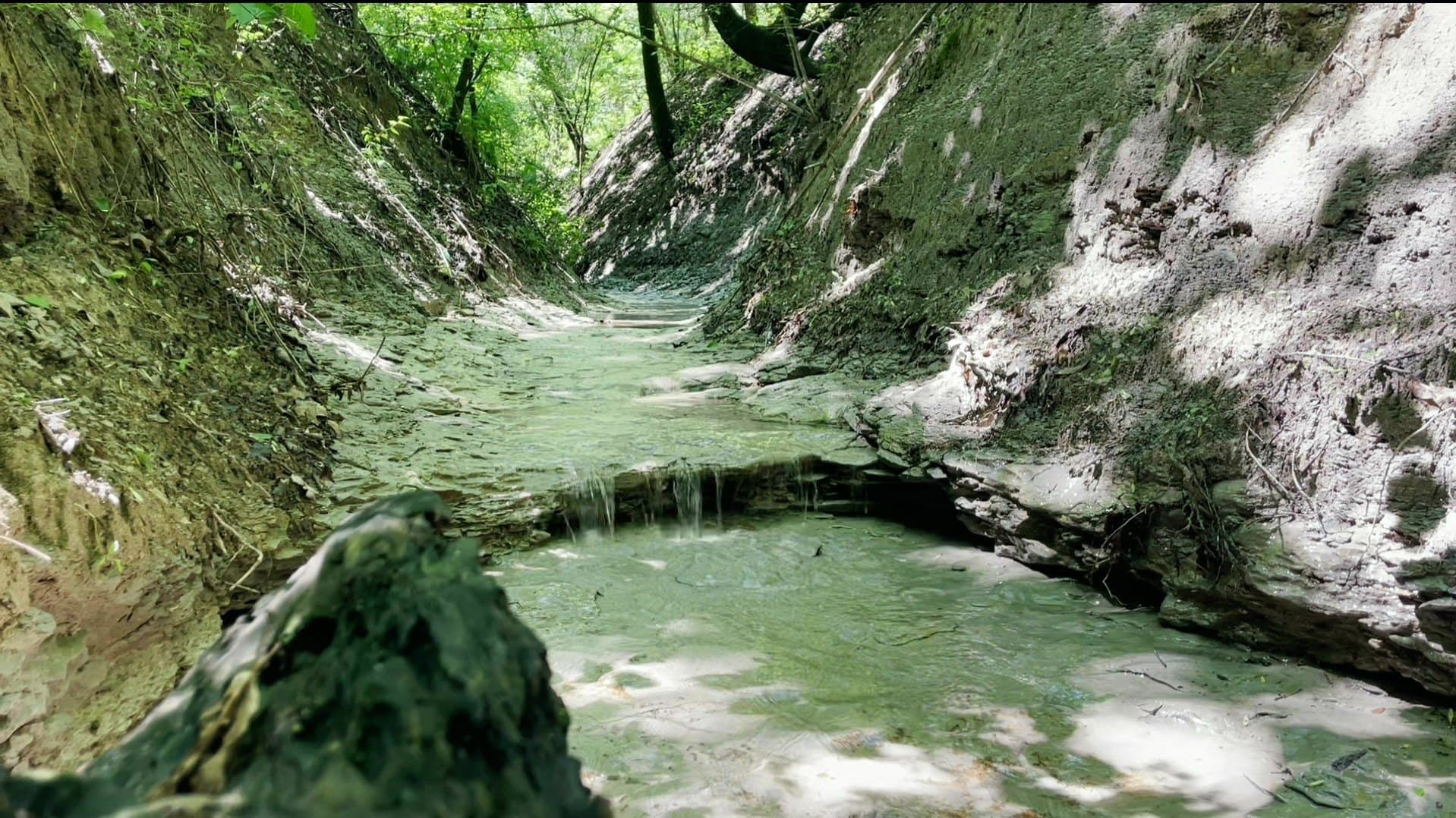 16.06 acres in Grayson County - photo 4