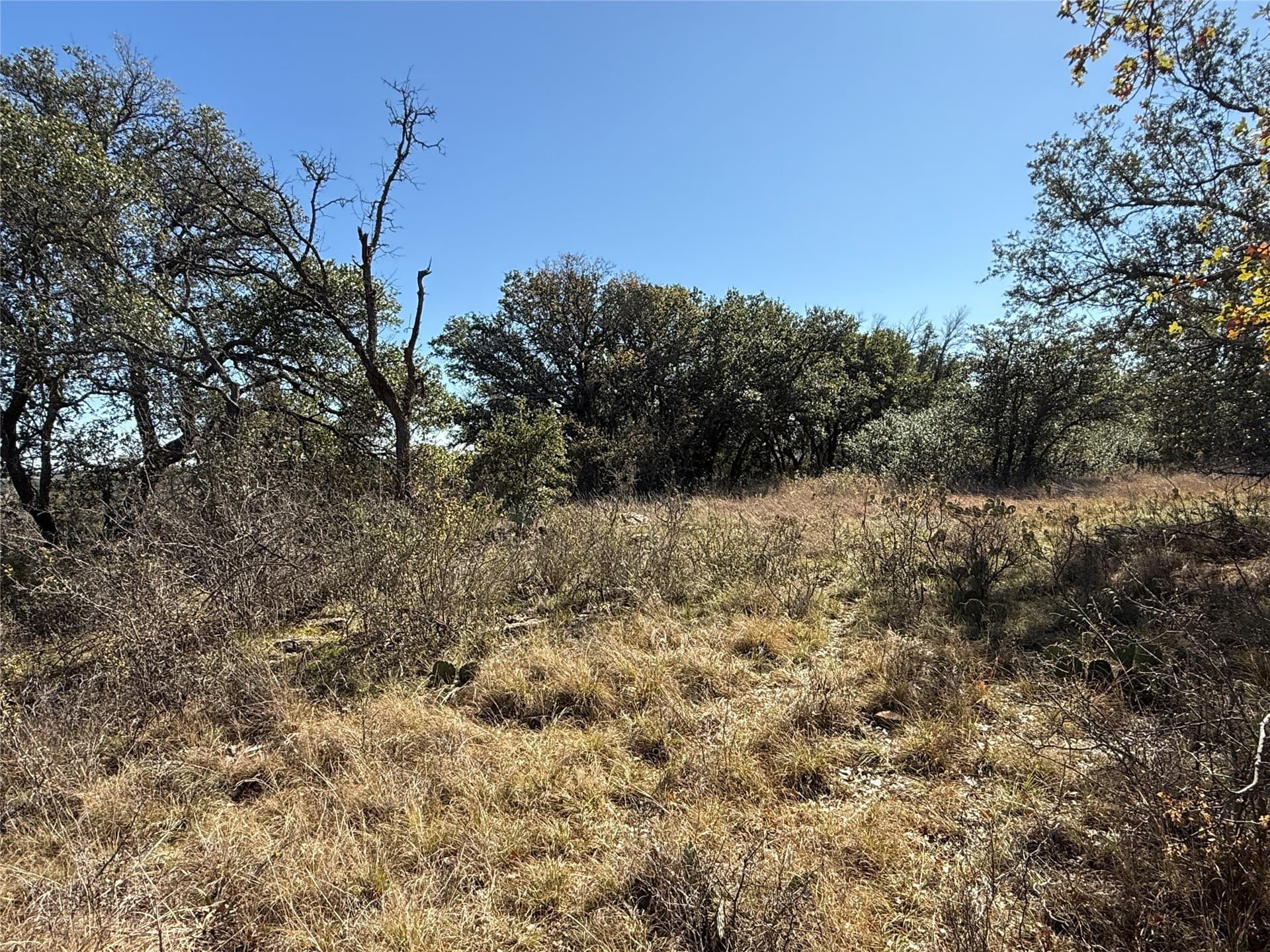 0.37 acres in Brown County - photo 8
