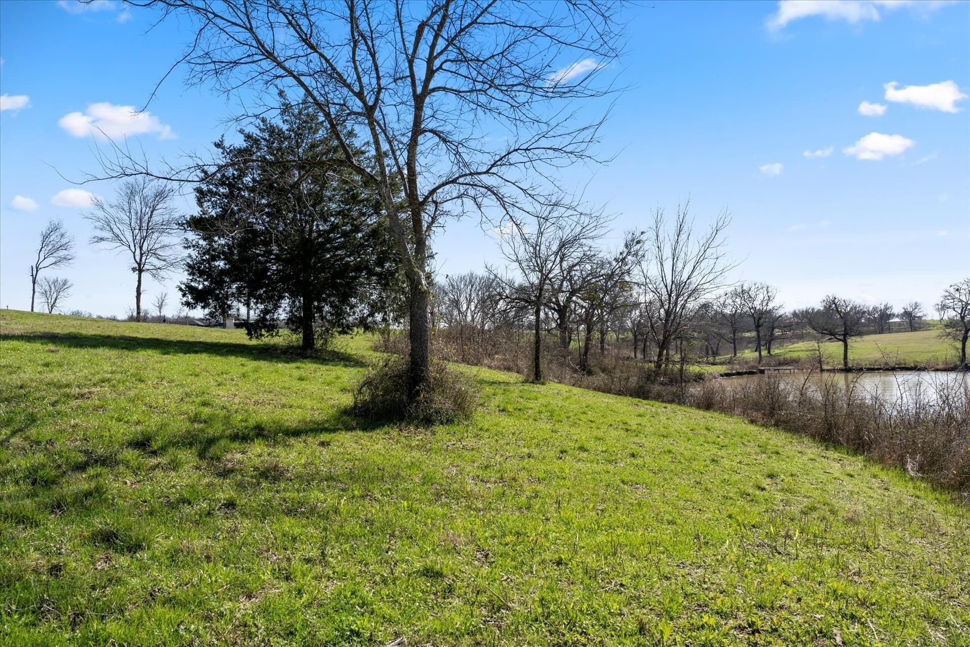 1.17 acres in Navarro County - photo 28