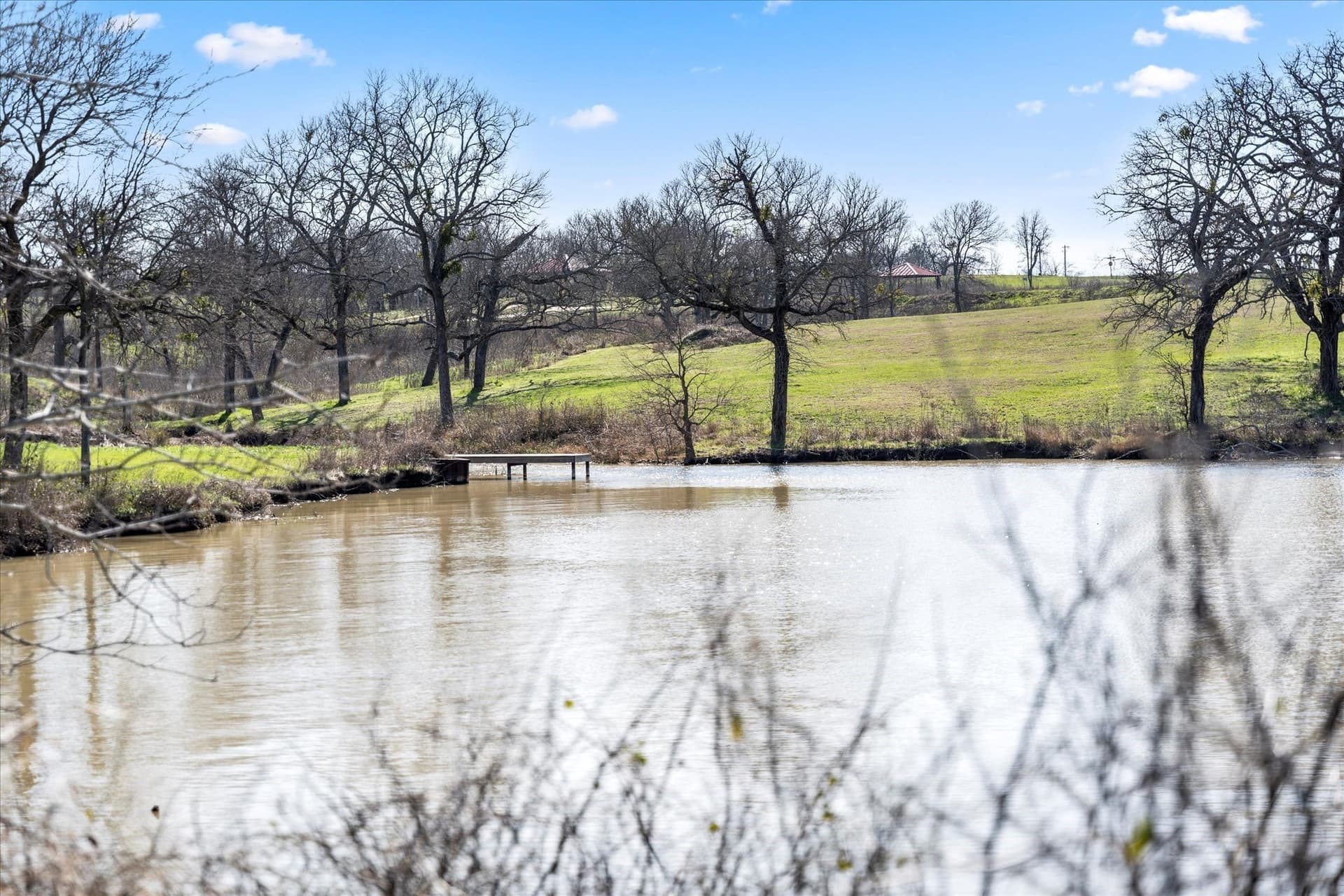 1.17 acres in Navarro County - photo 30