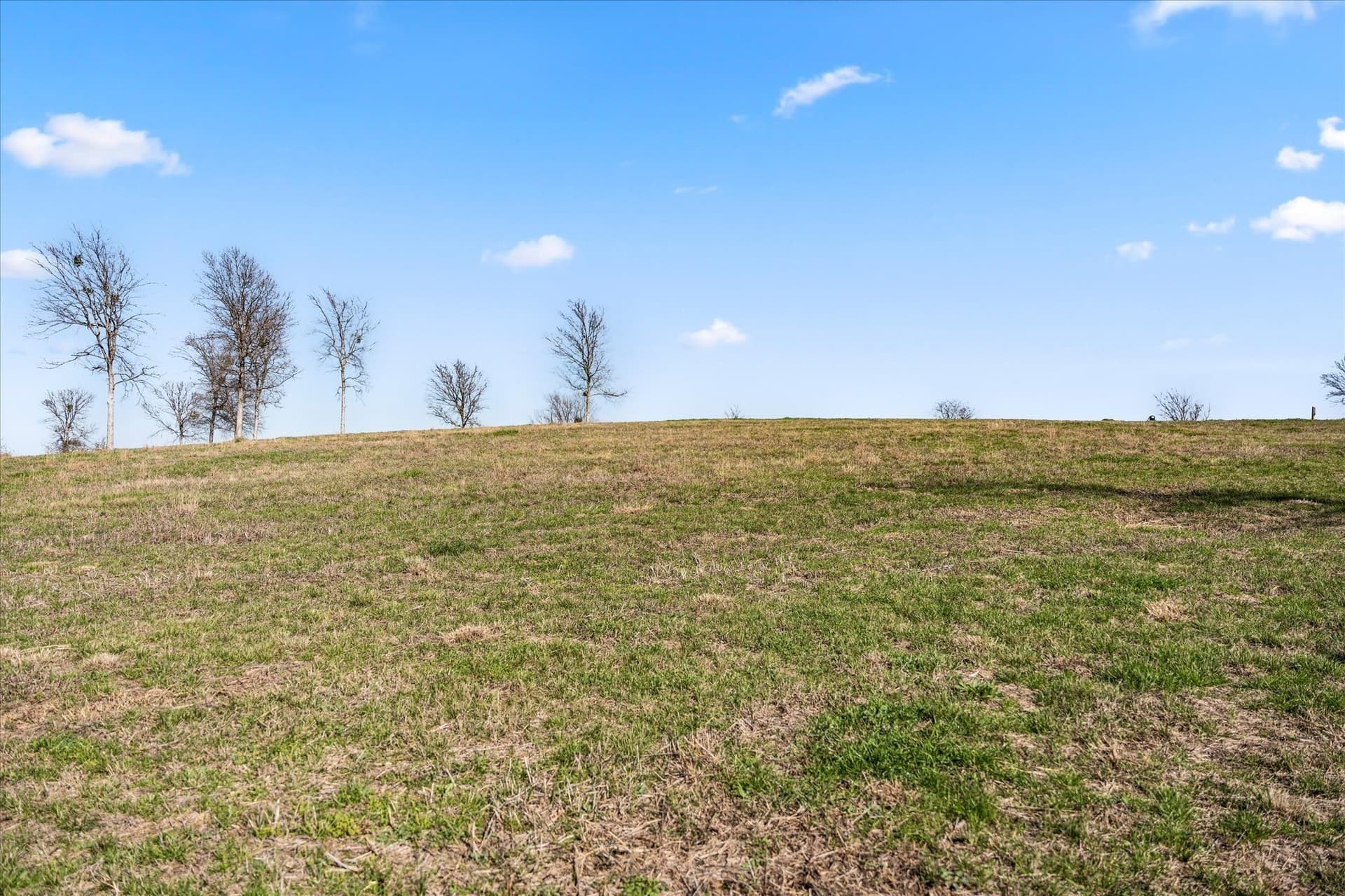 1.17 acres in Navarro County - photo 31