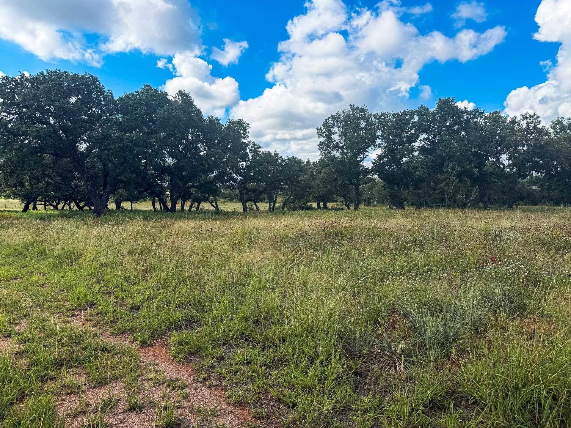 53 acres in McCulloch County - photo 13