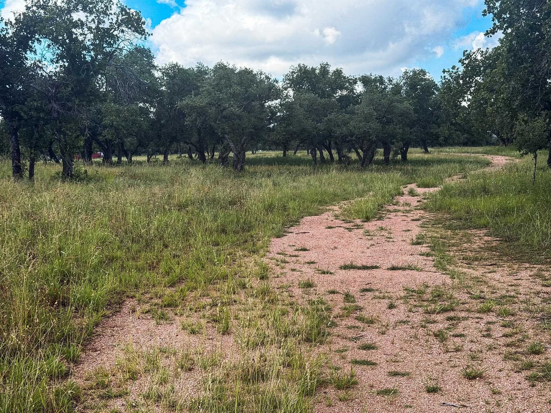 53 acres in McCulloch County gallery image 2