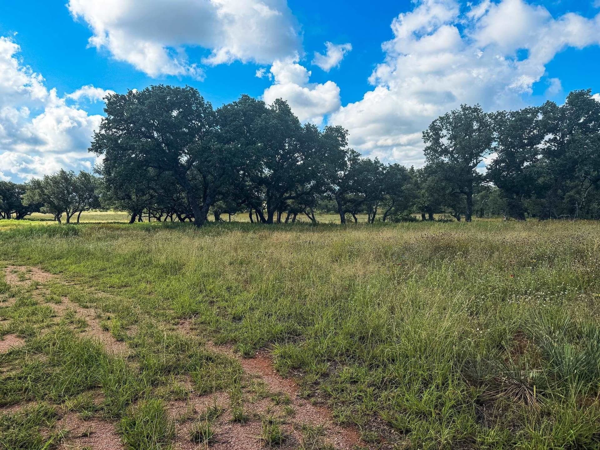 53 acres in McCulloch County - photo 7
