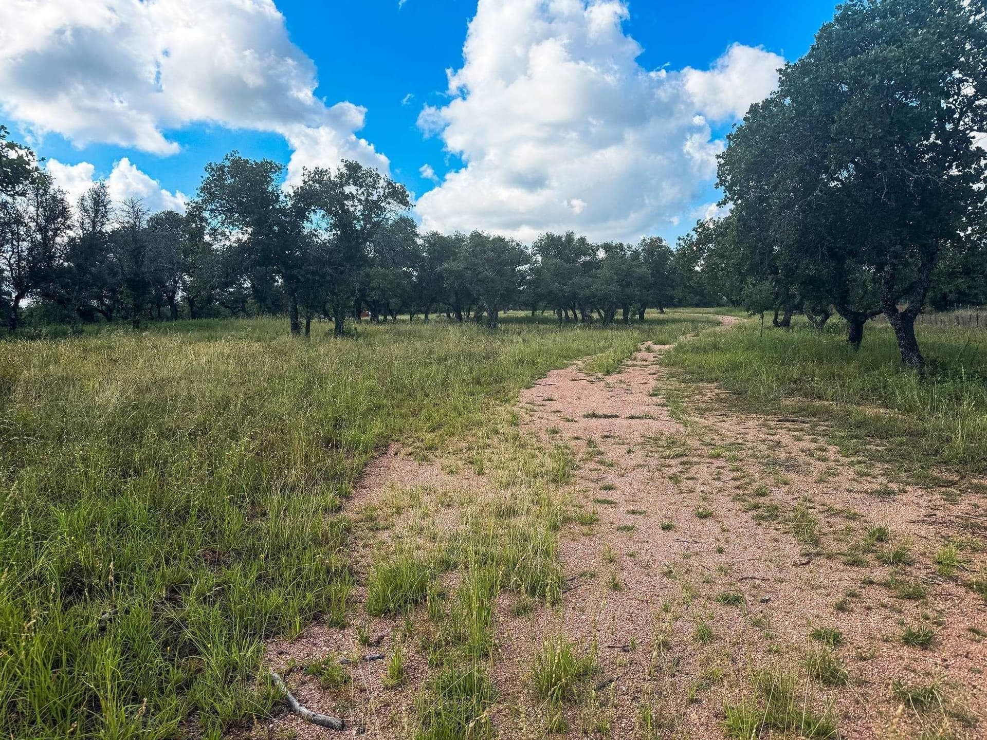 53 acres in McCulloch County - photo 14