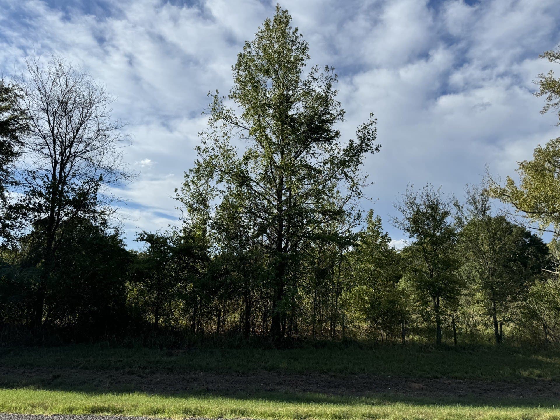 3.55 acres in Red River (TX) County featured view