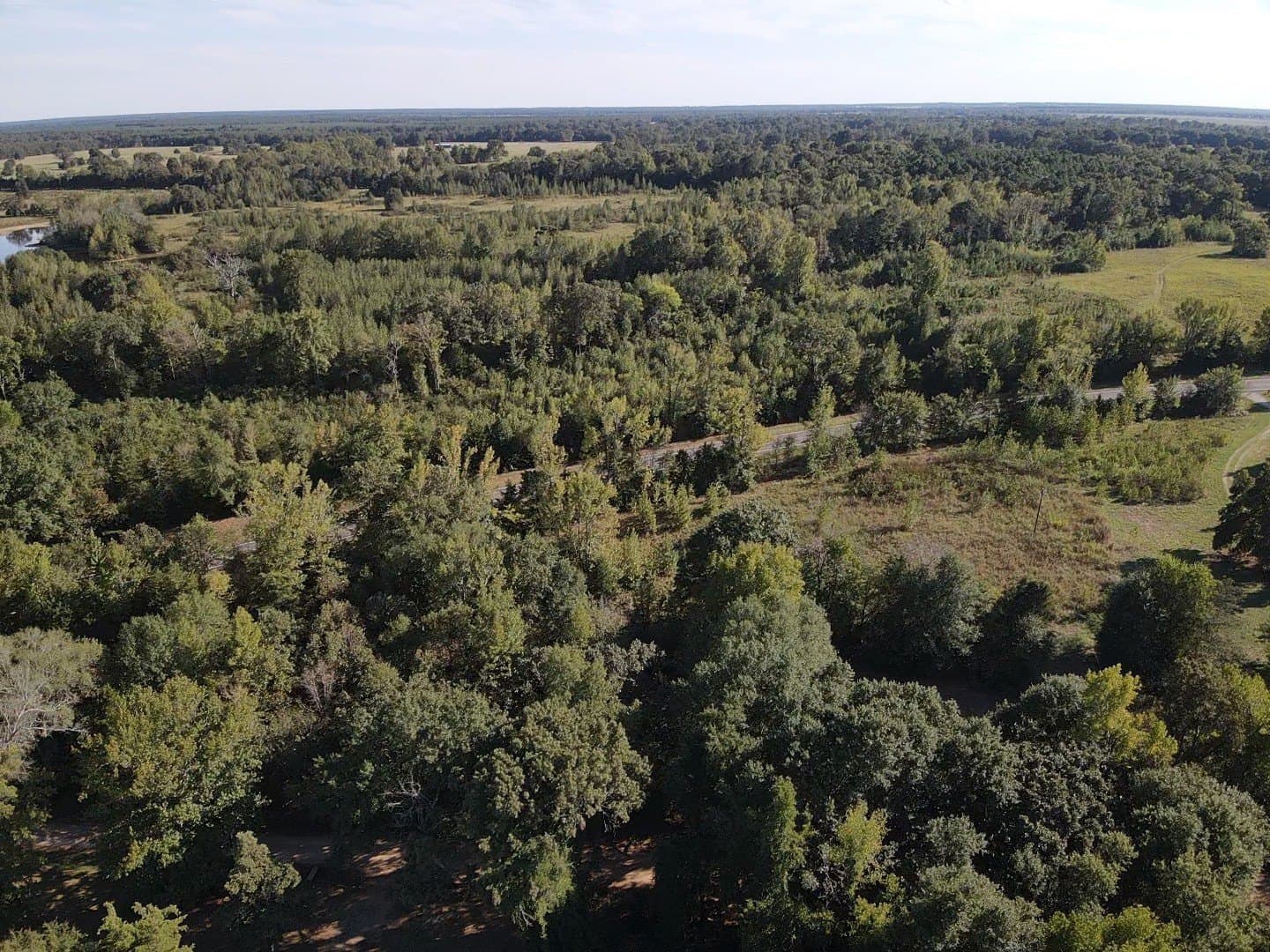 3.55 acres in Red River (TX) County gallery image 2