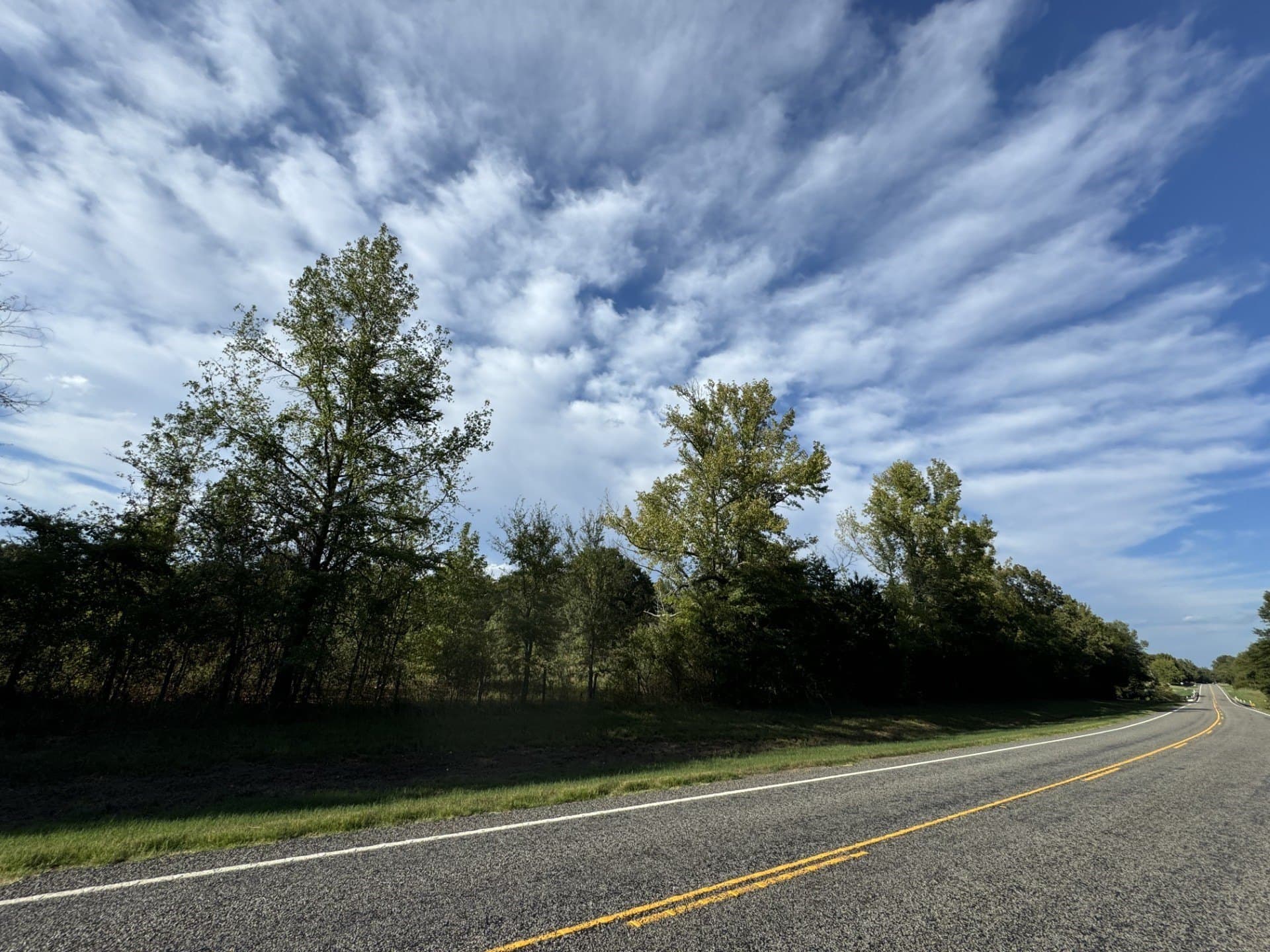 3.55 acres in Red River (TX) County gallery image 4