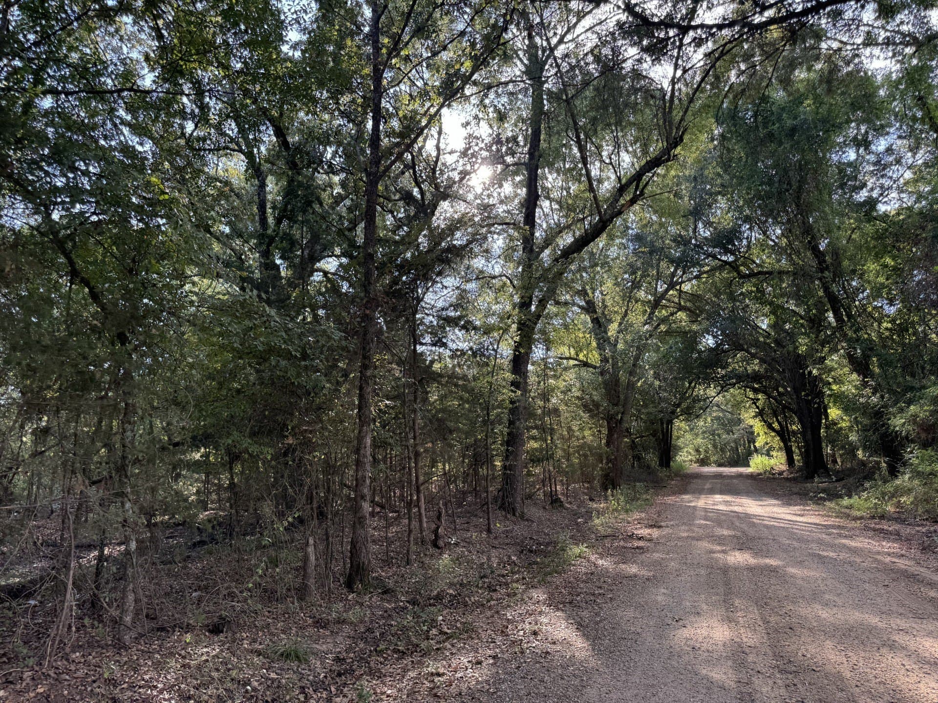 3.55 acres in Red River (TX) County - photo 7