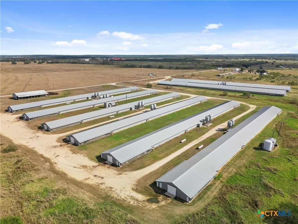 189 acres in Gonzales County - photo 12