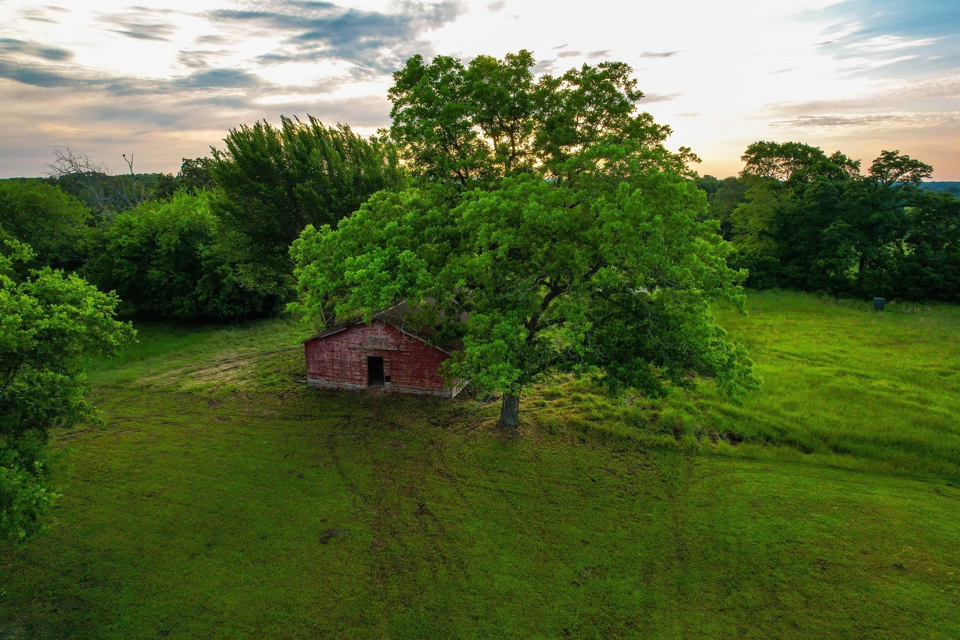 57 acres in Hopkins County - photo 28