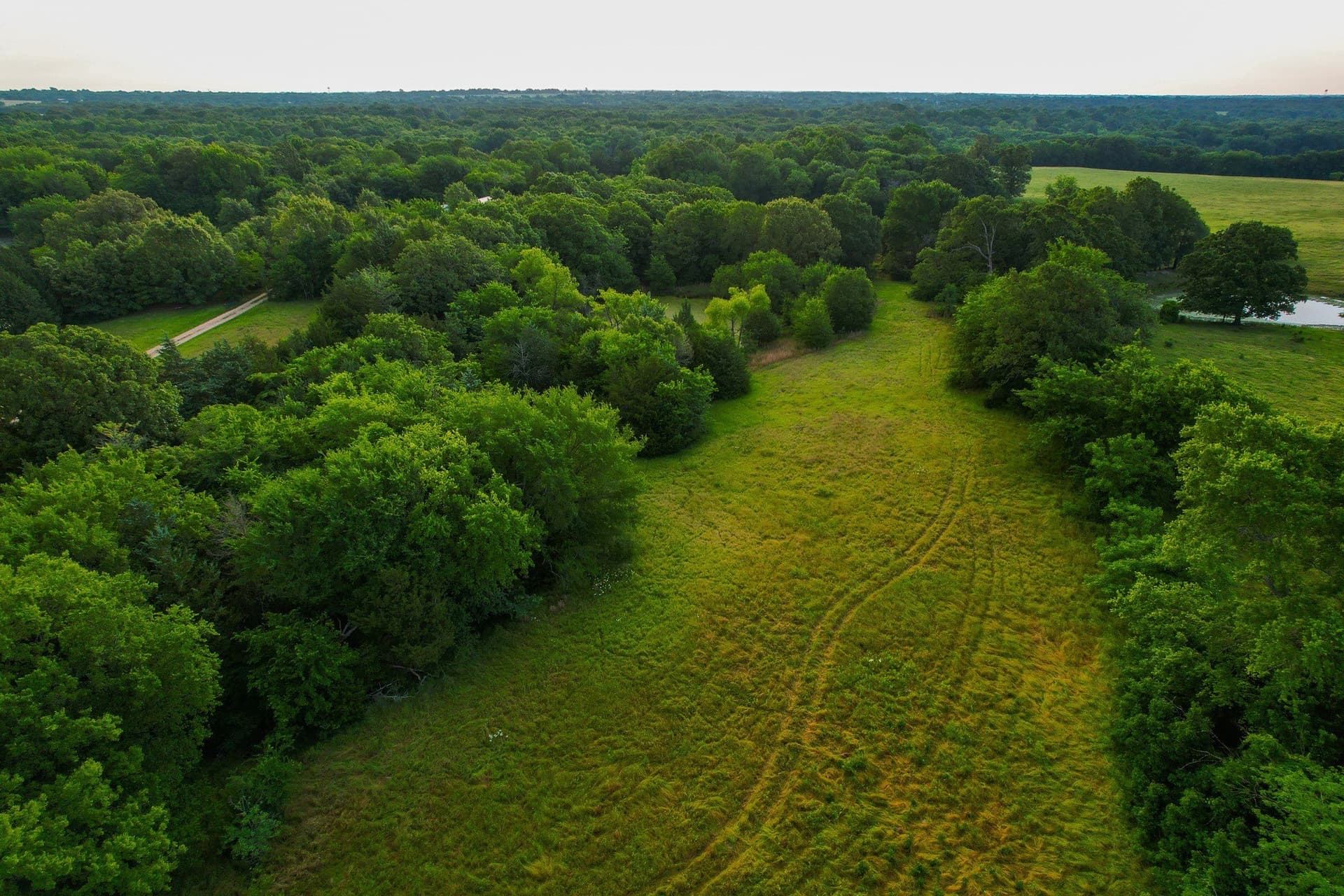 57 acres in Hopkins County - photo 34