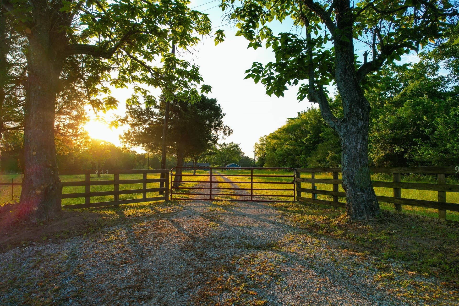 57 acres in Hopkins County gallery image 2
