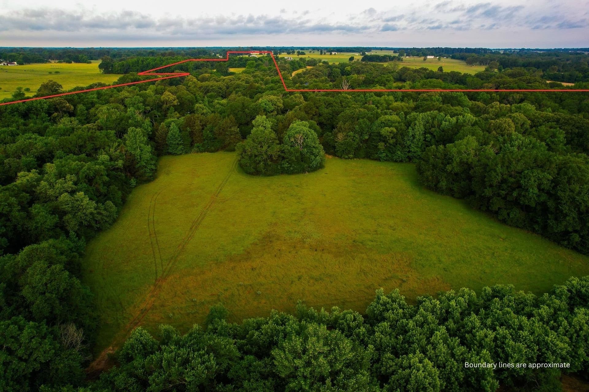 57 acres in Hopkins County gallery image 4