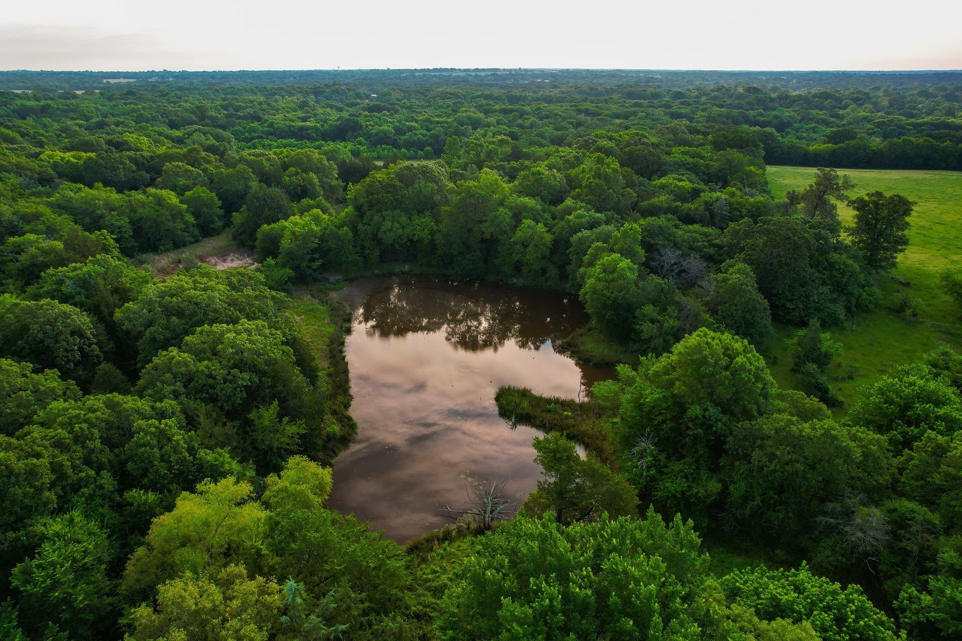 57 acres in Hopkins County - photo 11