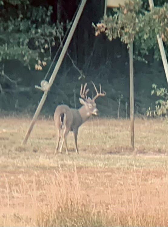57 acres in Hopkins County - photo 3