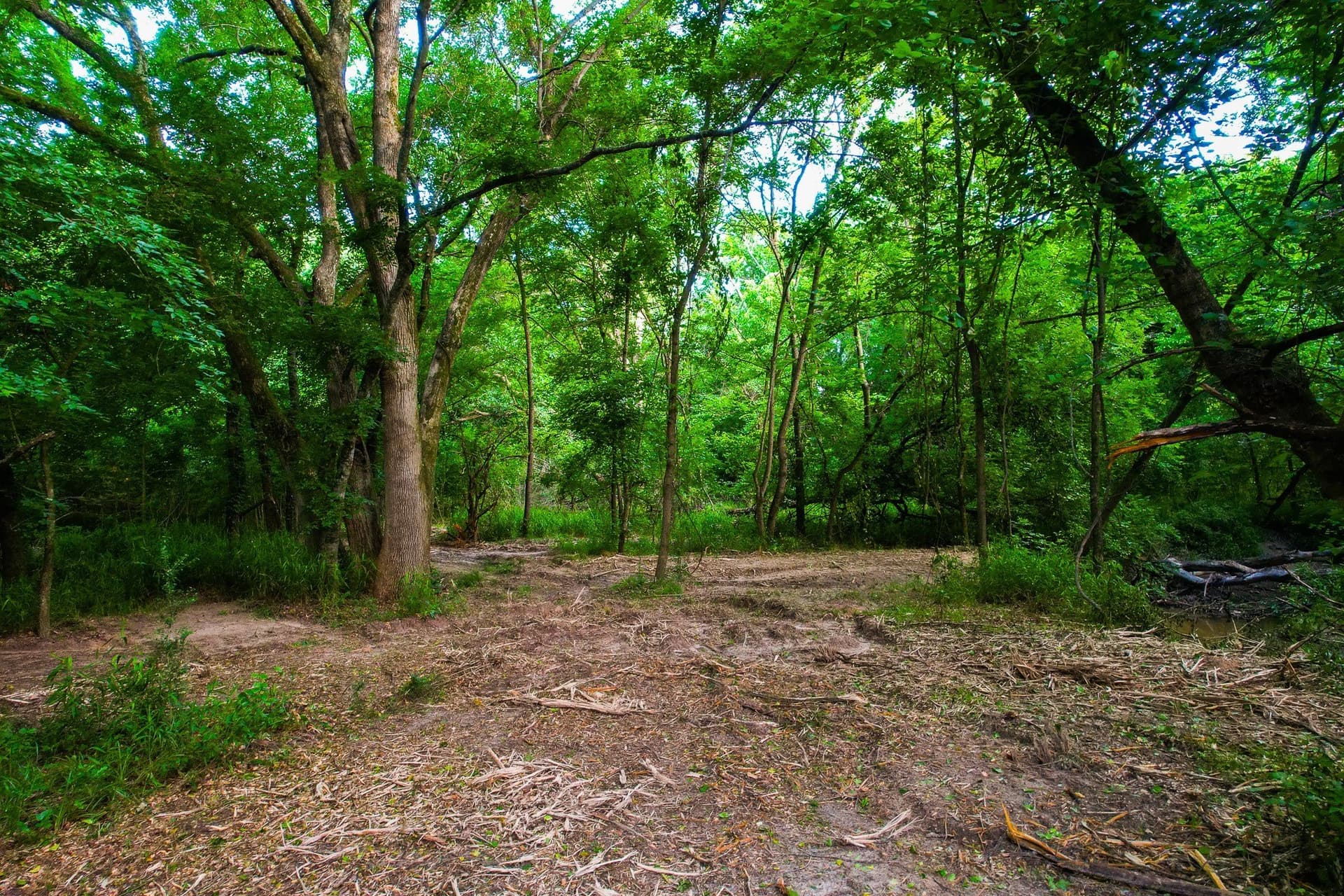 57 acres in Hopkins County - photo 36