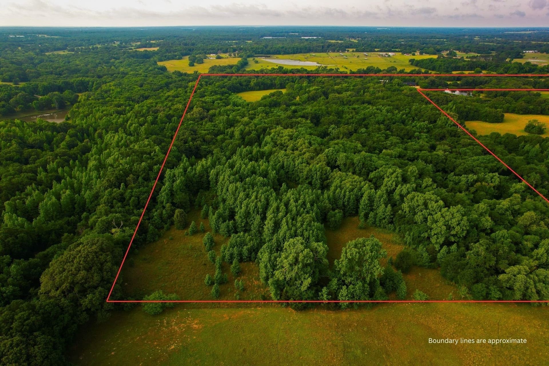 57 acres in Hopkins County - photo 4