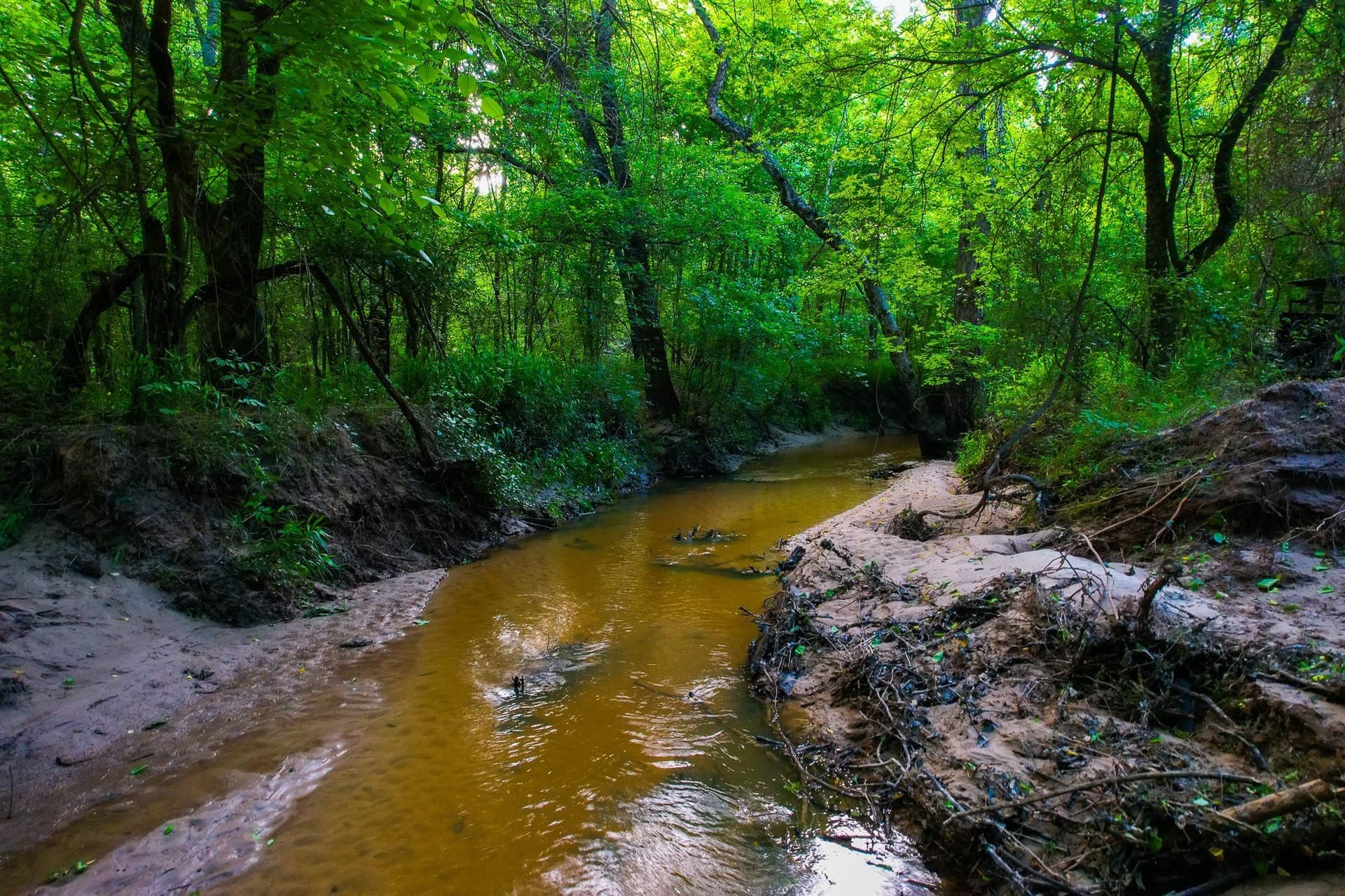 57 acres in Hopkins County - photo 8