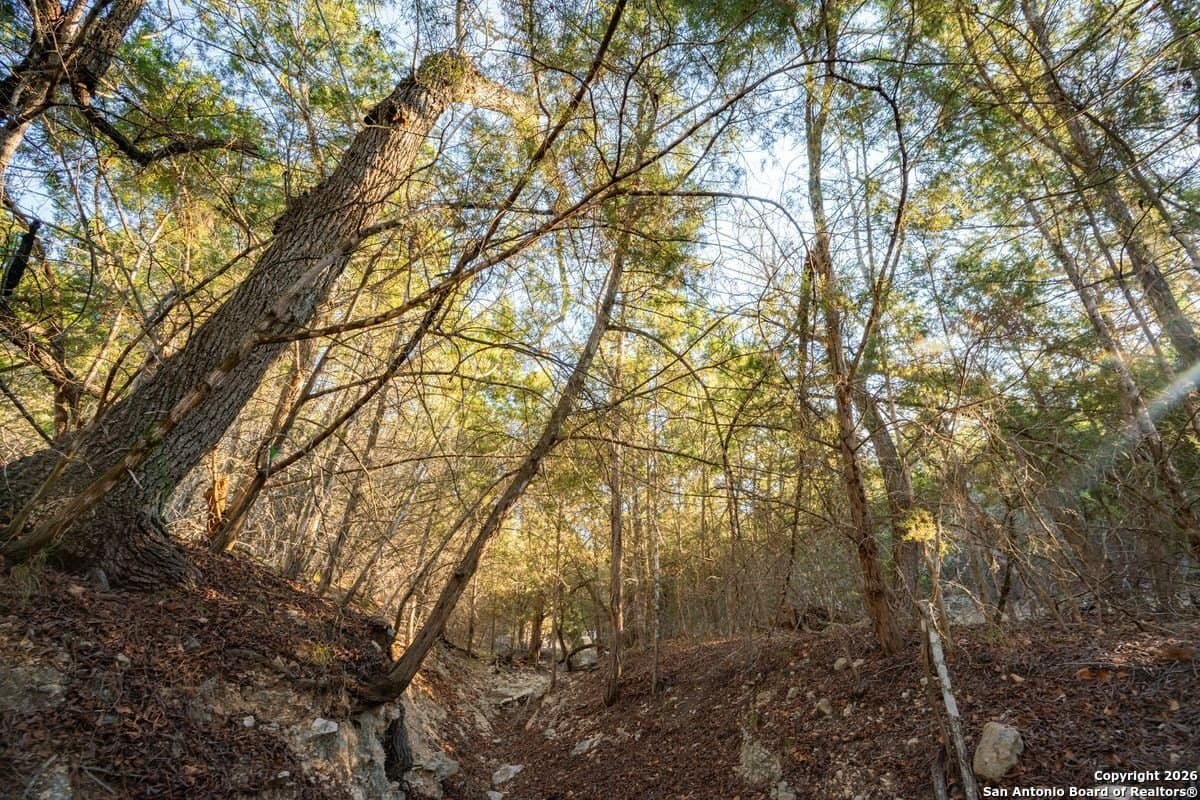 49.24 acres in Kerr County - photo 18