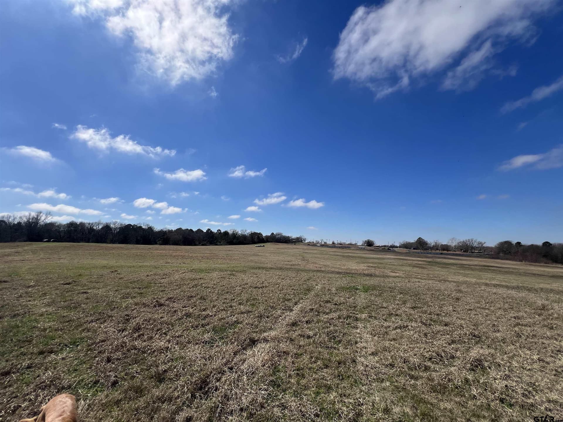 53.43 acres in Morris County - photo 12