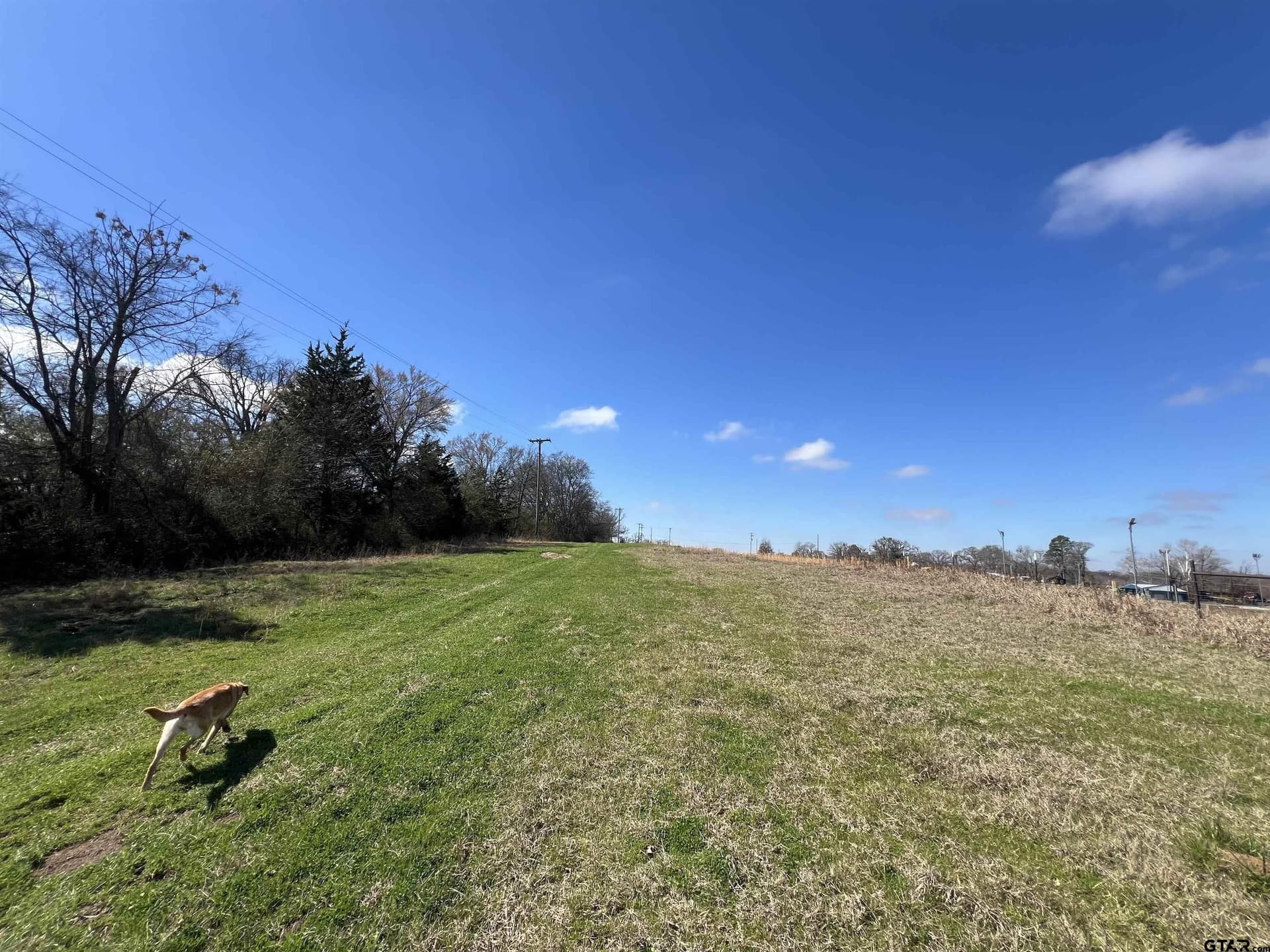 53.43 acres in Morris County - photo 7