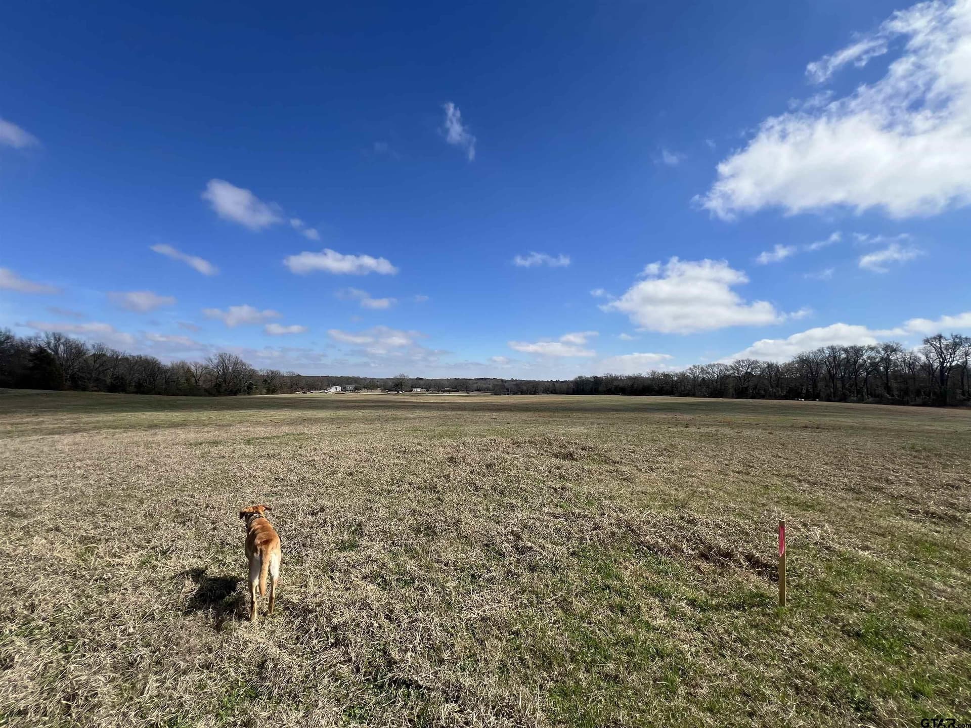 53.43 acres in Morris County - photo 10