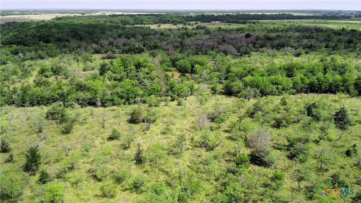 149.49 acres in Limestone County - photo 3
