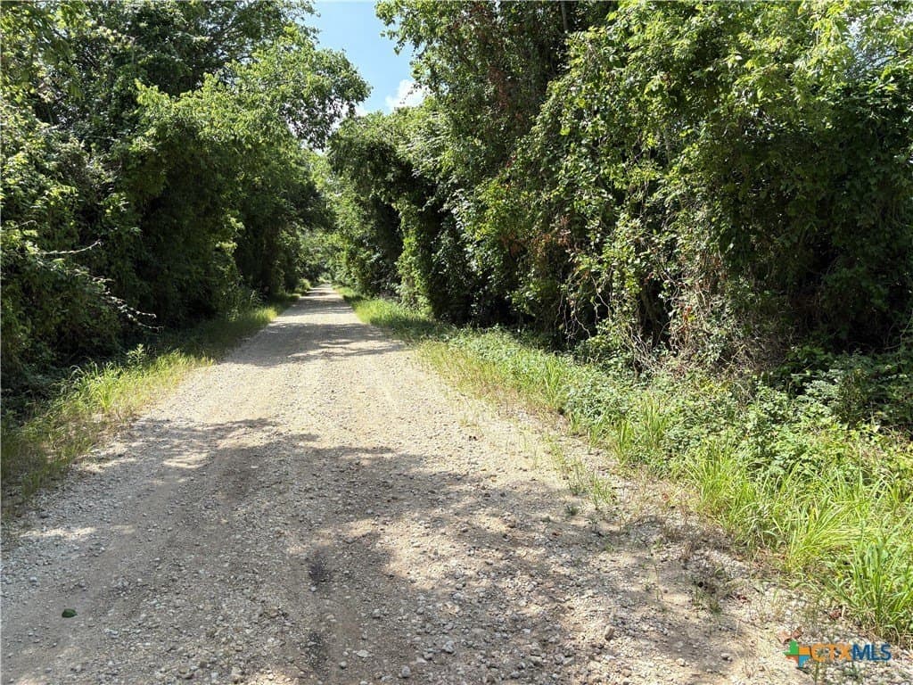 149.49 acres in Limestone County - photo 17