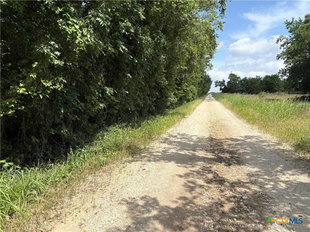 149.49 acres in Limestone County - photo 16