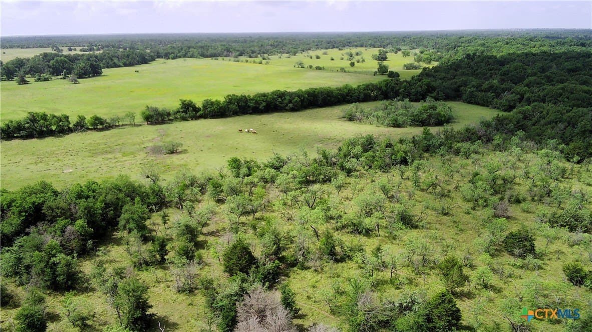 149.49 acres in Limestone County - photo 6