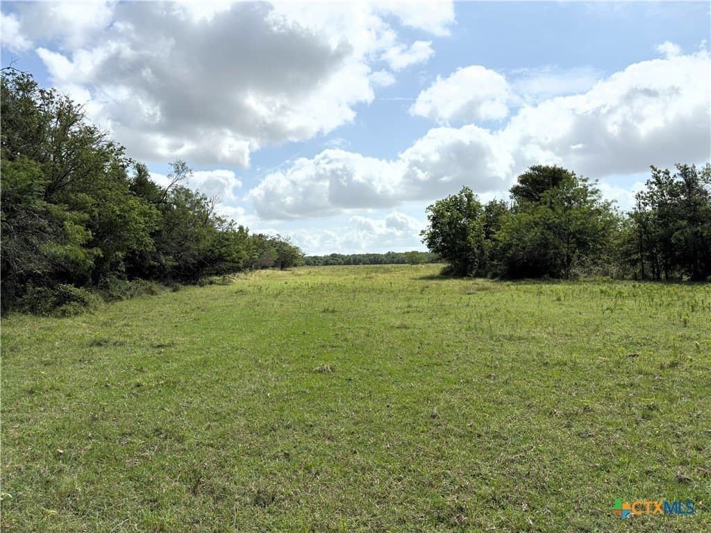 149.49 acres in Limestone County - photo 14
