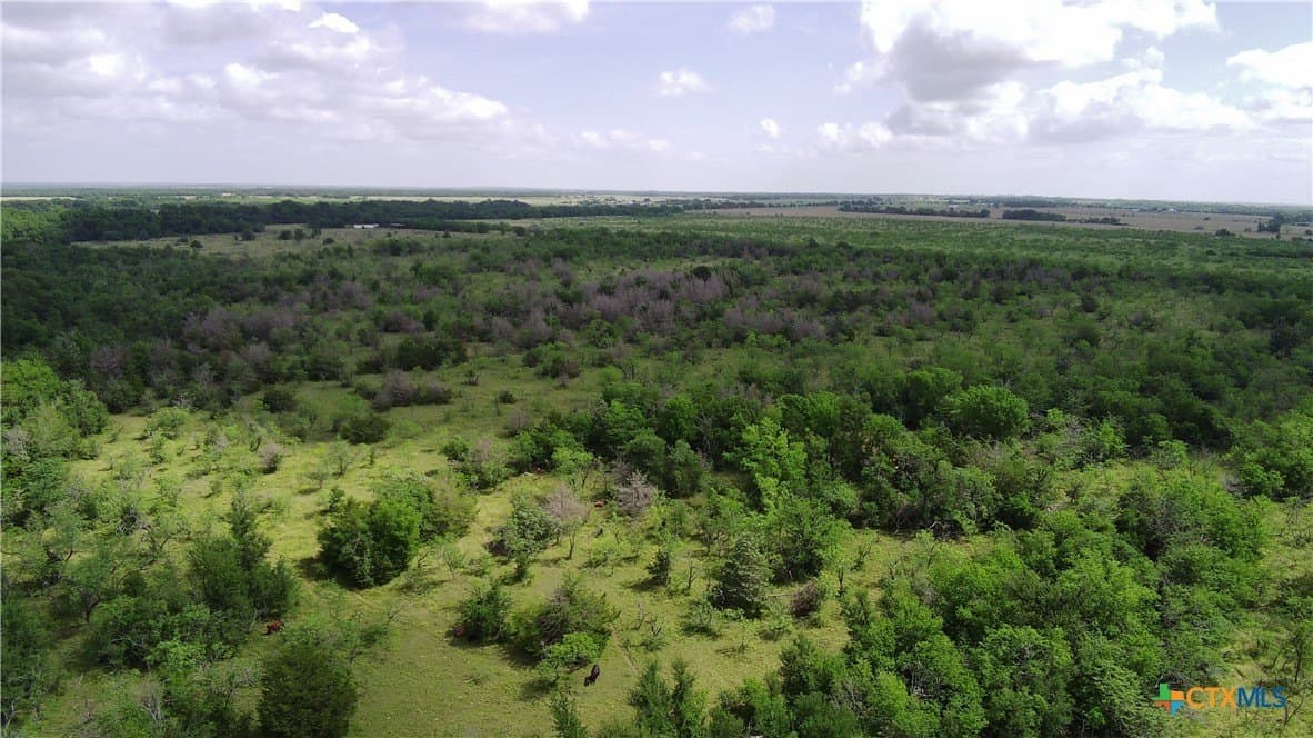 149.49 acres in Limestone County - photo 10