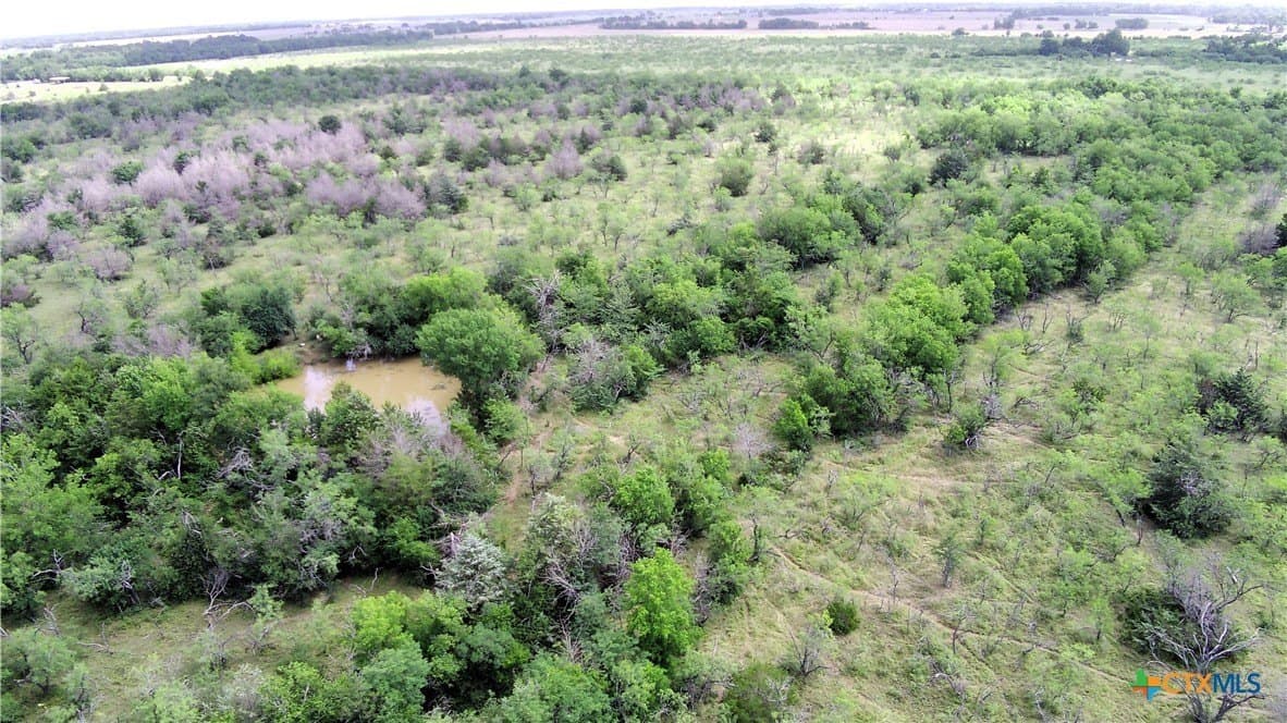 149.49 acres in Limestone County