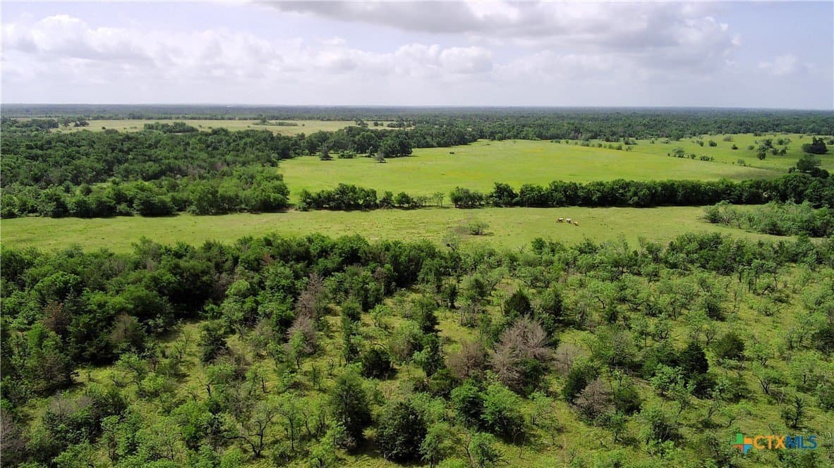 149.49 acres in Limestone County - photo 8