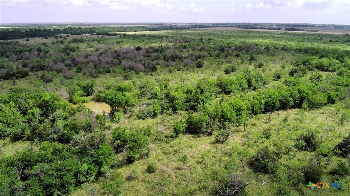 149.49 acres in Limestone County - photo 2