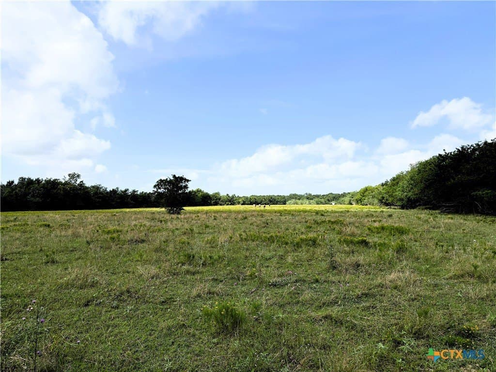 149.49 acres in Limestone County - photo 13