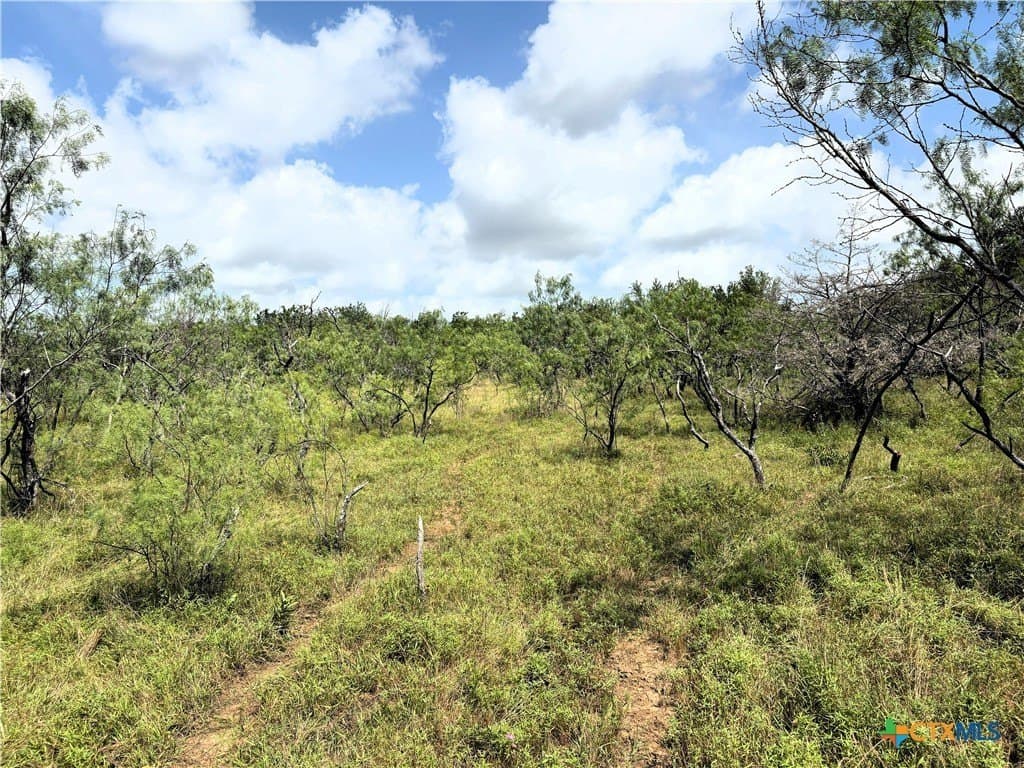 149.49 acres in Limestone County - photo 15