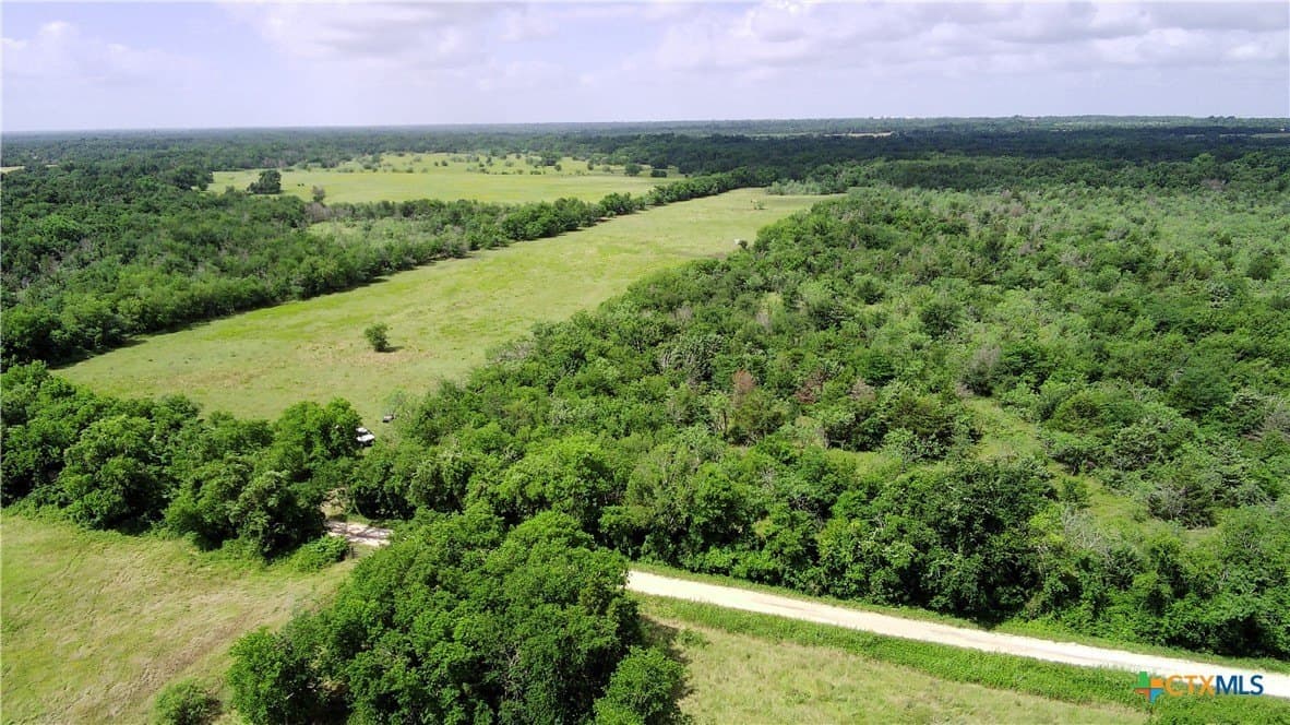 149.49 acres in Limestone County - photo 4