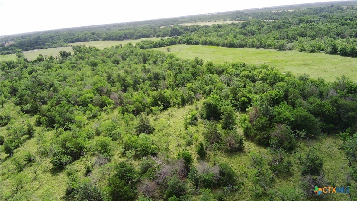 149.49 acres in Limestone County - photo 9