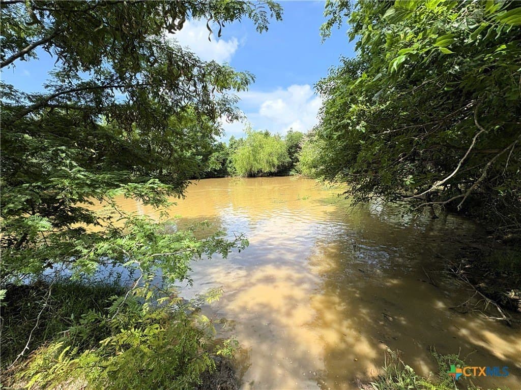 149.49 acres in Limestone County - photo 12
