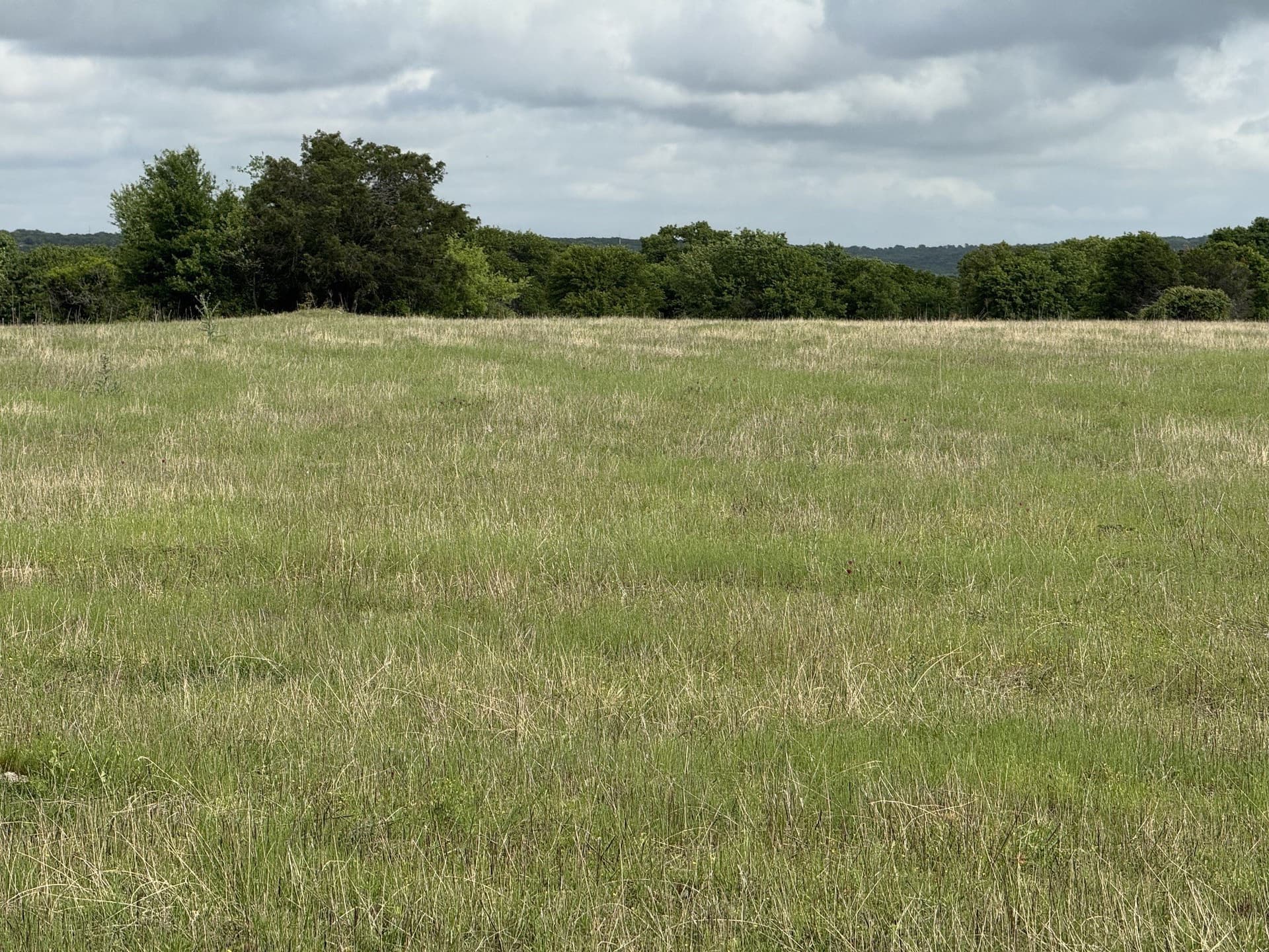 8 acres in Palo Pinto County - photo 9