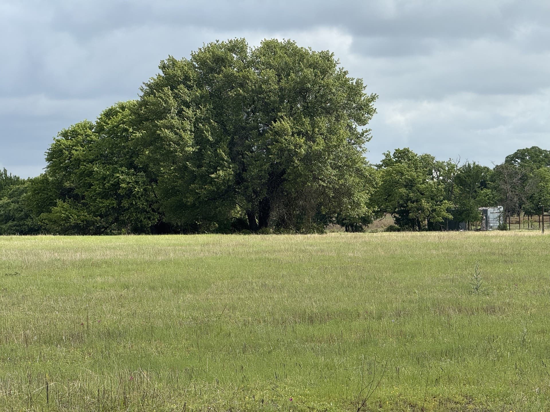 8 acres in Palo Pinto County - photo 8