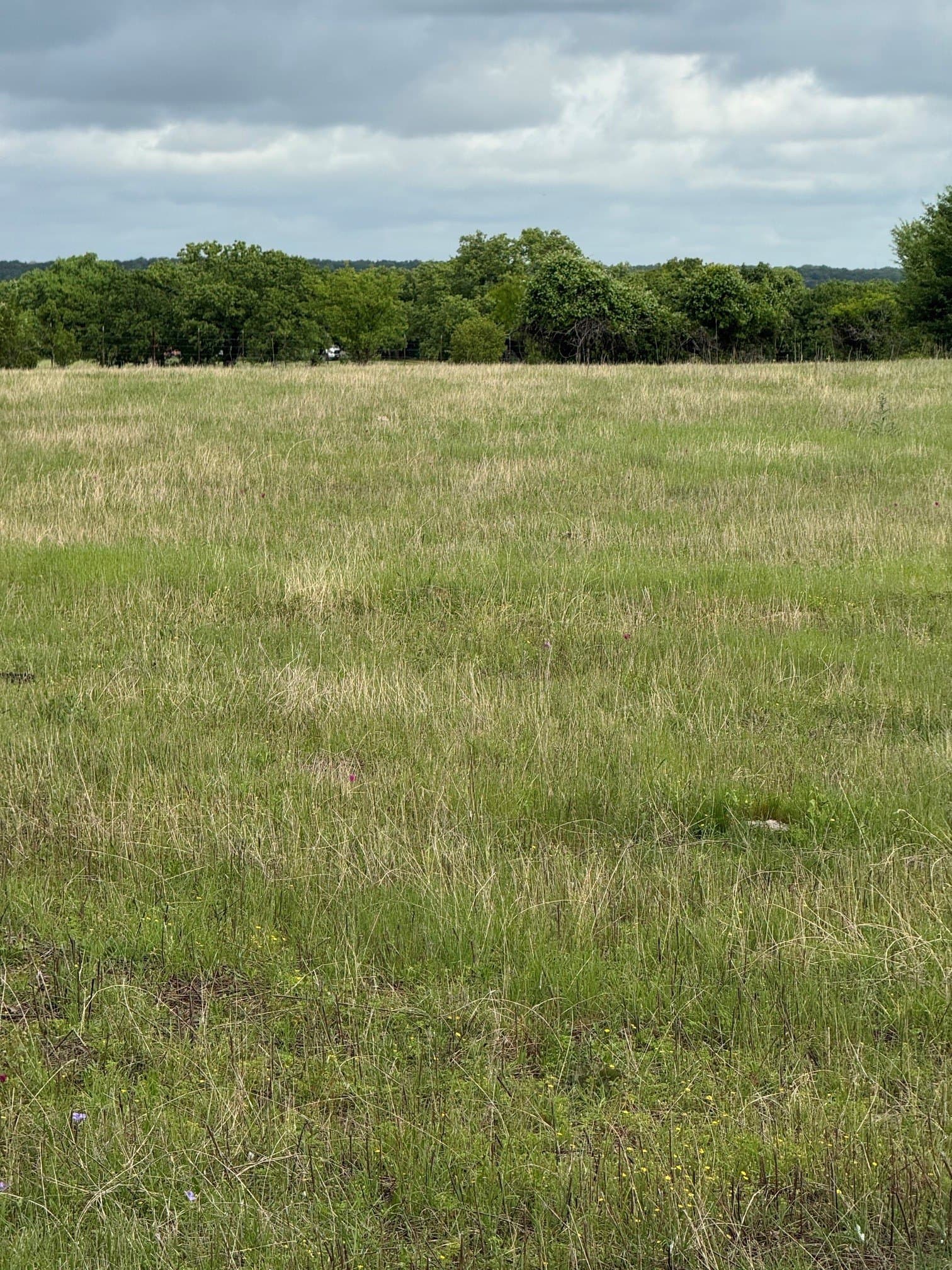 8 acres in Palo Pinto County - photo 11