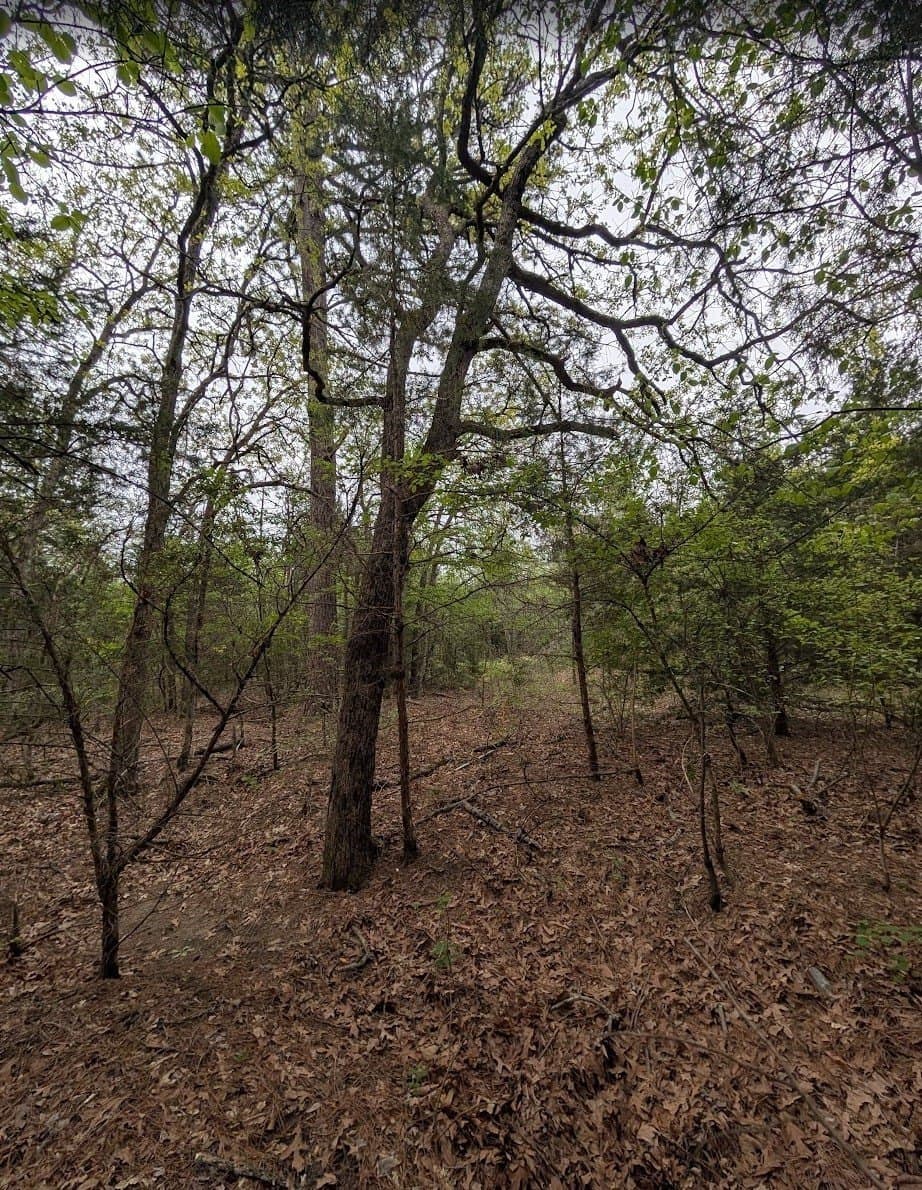 7 acres in Henderson County featured view