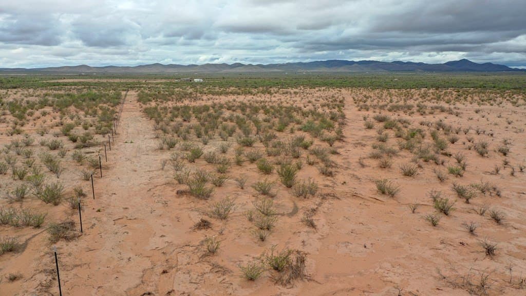 10 acres in Culberson County - photo 9