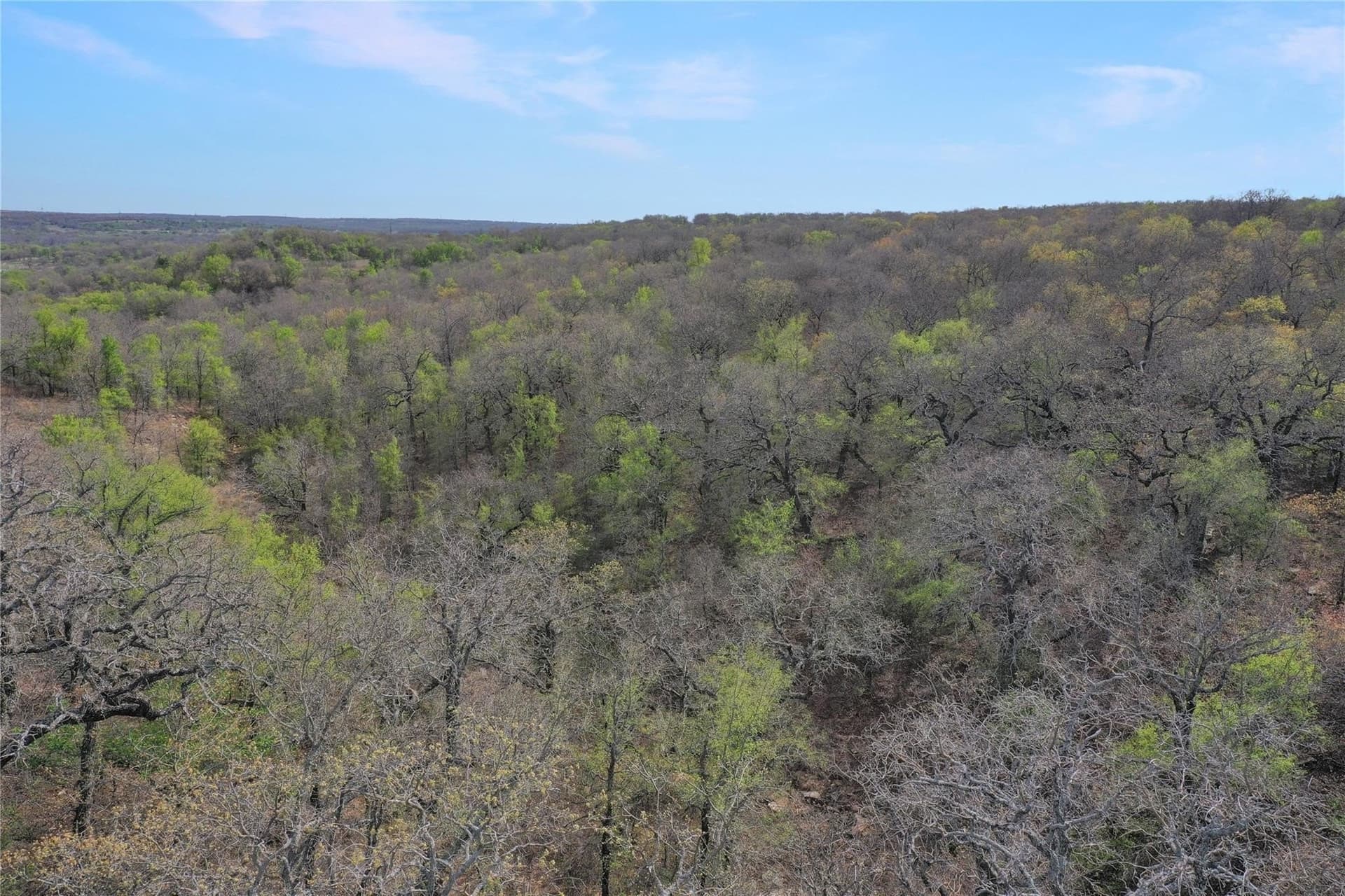 12.4 acres in Jack County - photo 4