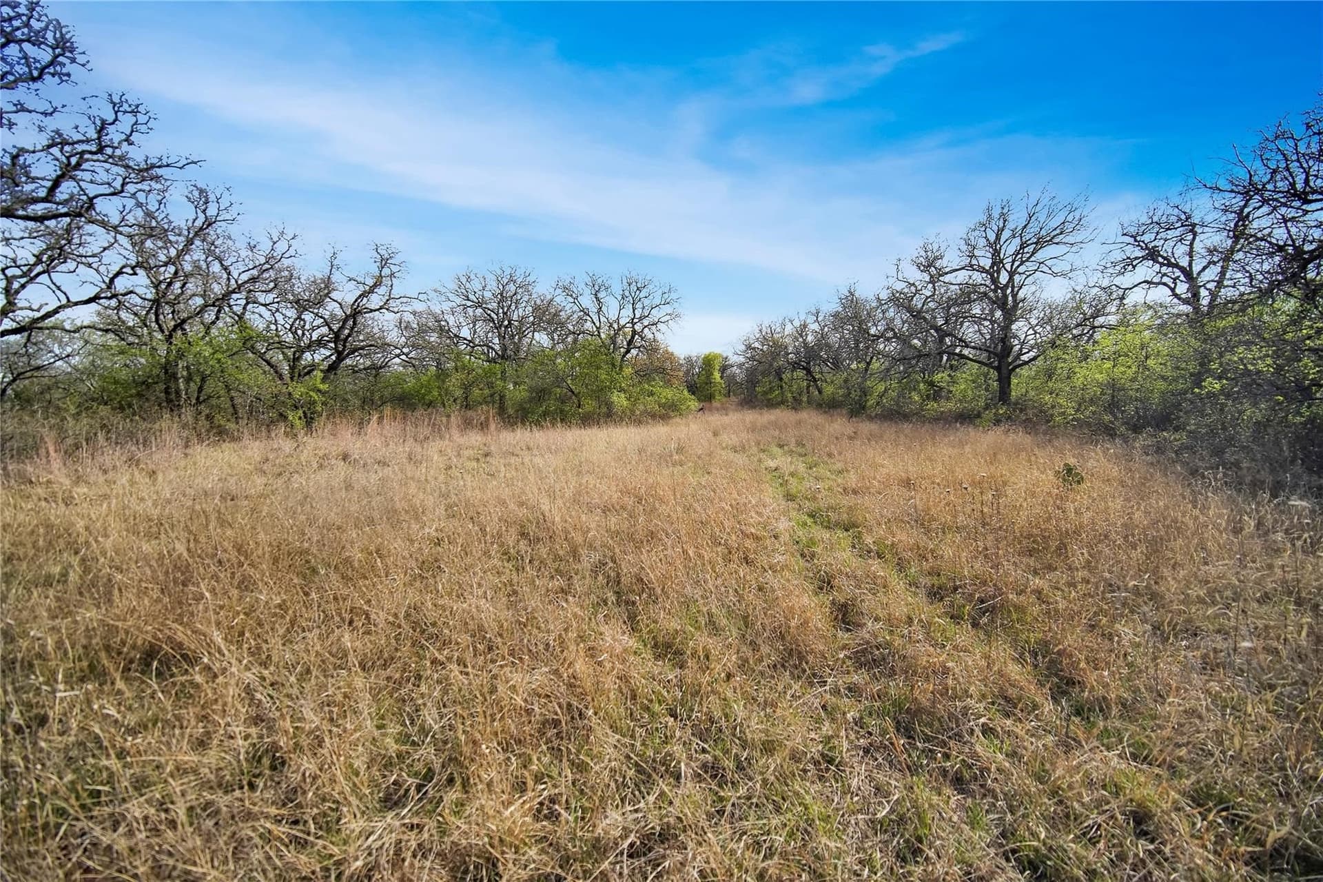 12.4 acres in Jack County - photo 3