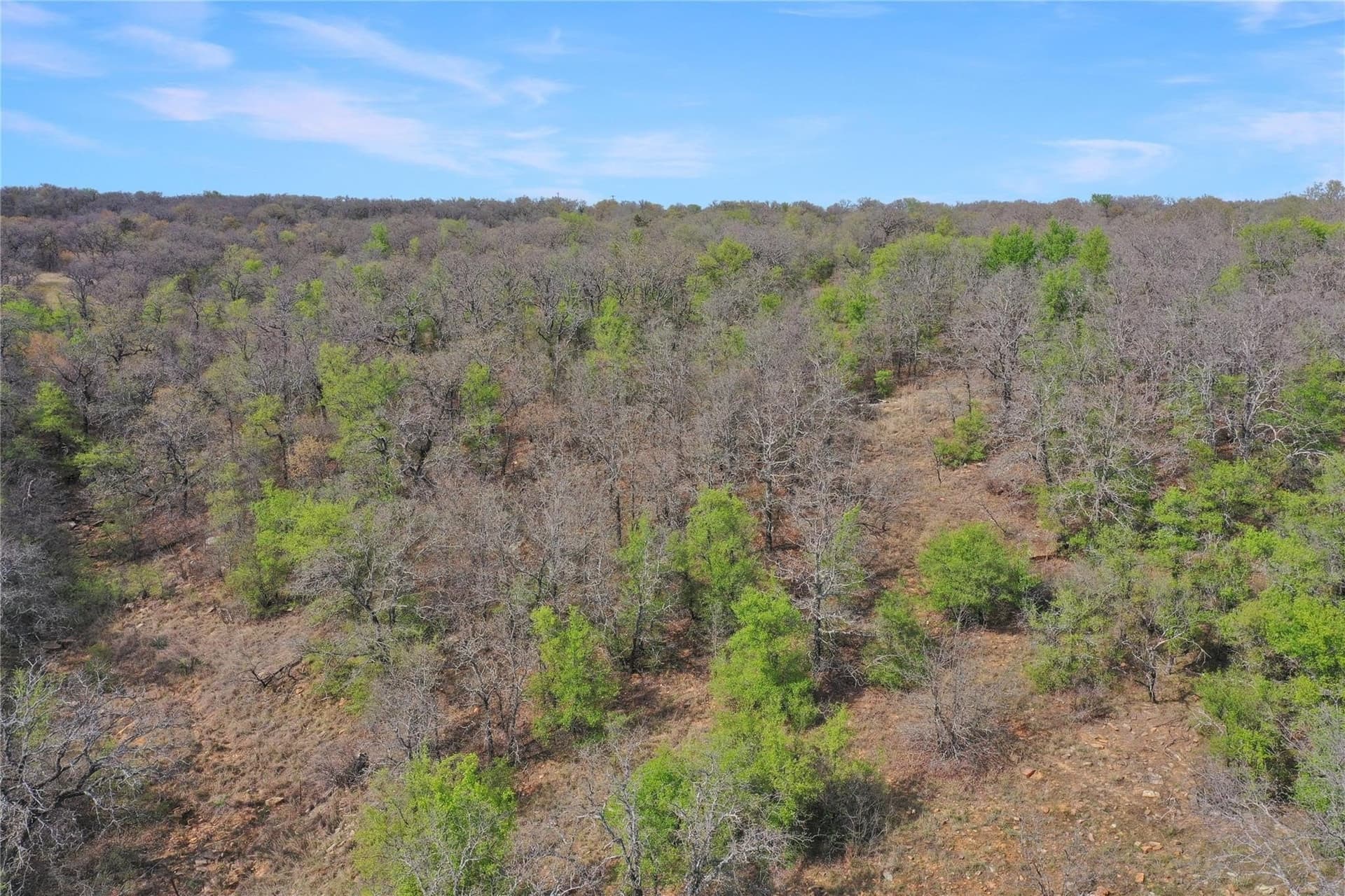 12.4 acres in Jack County - photo 2